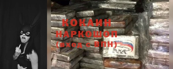 ешки Горняк