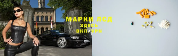 ешки Горняк