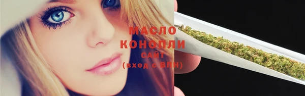ешки Горняк