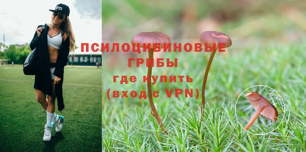 ешки Горняк