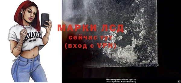 ешки Горняк
