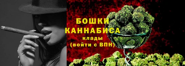 Альфа ПВП Горнозаводск