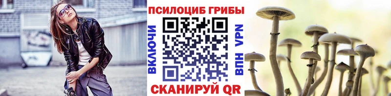 Псилоцибиновые грибы прущие грибы Мамоново